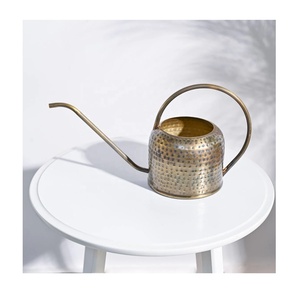 Vendeur ultime Choix de couleurs Léger Petit acier galvanisé Métal Arrosoir pour plantes d'intérieur Arrosoir Fournisseur en gros - Product Image 1