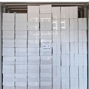 Wholesale Raw Cashew <b>Nuts</b> WW180, WW240, WW320, LP, WS Cashew <b>Nuts</b> W180 Cashew <b>Nuts</b> Cheap Price, OEM ODM Packaging - Product Image 4