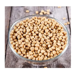 Graines de soja de qualité supérieure - Product Image 6