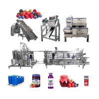 Fruitverwerkingsmachine Fruitjam Productielijn Fruitpuree Machine Confiture Productielijn