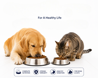 OEM ODM 100% Makanan Anjing Kering Alami Premium Tinggi Protein Bebas Biji-bijian Kibble Pendukung Otot Vitamin Mineral Buah Sayuran 250g