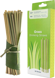 Pajitas de Hierba Orgánica Más Vendidas, Pajitas para Beber Naturales, Ecológicas, Biodegradables, Desechables, Hechas en Vietnam - Product Image 3