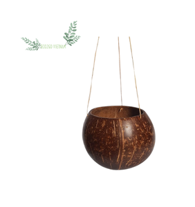Wholesale Natural Coconut Shell Plant <b>Pot</b> Eco-Friendly Seedling & Flower <b>Pot</b> OEM Manufacturer | Eco2Go Vietnam - Product Image 6