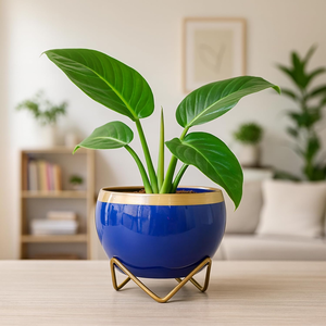 Petits pots de fleurs décoratifs bleus et dorés pour plantes d'intérieur, succulentes, cactus, petites plantes vertes, décoration de la maison - Product Image 1