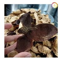 Kulit Jeruk Reticulata Kering Berkualitas Tinggi Grosir untuk Membuat Teh