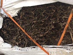 Hojas de hierba negra natural deshidratadas para la producción de alimentos saludables, calidad de exportación, empaquetado a granel disponible para la venta - Product Image 6