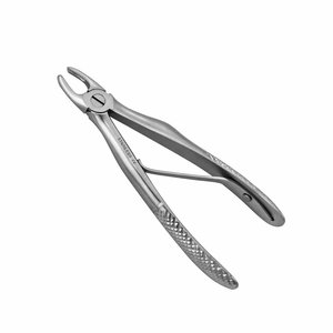 Forceps d'extraction dentaire pédiatrique modèle anglais 137C, pinces pour l'extraction des dents des enfants, instrument chirurgical dentaire - Product Image 4