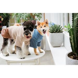 Modress <b>Designer</b> Pet <b>Clothes</b> Fashionable <b>Dog</b> Sweater and Dress - Product Image 3