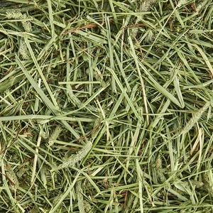 Top Quality alfalfa hay/Timothy Alfalfa Hay/ Cheap Alfalfa Hay <b>for</b> Animal Feeding <b>Stuff</b> alfalfa-hay- - Product Image 1