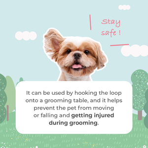 สายรัดสุนัขแบบปรับได้ HEDYS GROOMING ทำจากไนลอน สำหรับโต๊ะกรูมมิ่ง พร้อมตะขอเกี่ยวแบบรวดเร็ว ปลอดภัย แข็งแรง ทนทาน - Product Image 4