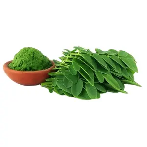 En iyi tedarikçi hint moringa yaprağı tozu kalite İngiltere abd almanya İspanya toplu alıcılar için ambalaj 5kg 10kg 15kg çuval
