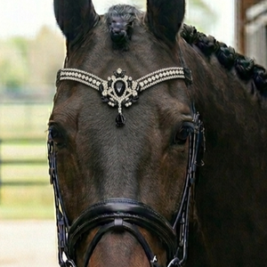 Diadema de Cuero Premium de Lujo para Caballo con Broche de Cristal de 5 Hileras Hecho a Mano y Agarre de Goma para Doma Clásica - Product Image 2