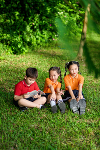 Spandex Knit 50D Vietnamese FMF Boys Primary School Children Polyester <b>Polo</b> Shirt Uniforms (<b>orange</b>) - Product Image 6