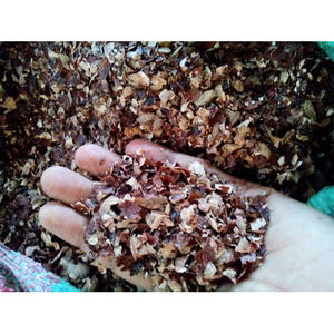 GIA GIA NGUYEN Vietnam Prix bas Granulés de résidus de coques de noix de cajou Supplément alimentaire pour animaux - Product Image 6