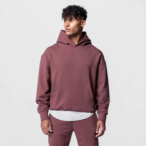 Survêtements personnalisés pour hommes et femmes, sweats à capuche épais 500 GSM 350 GSM en molleton polyester/coton brodé, et shorts amples - Product Image 1