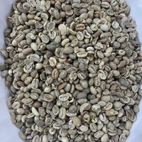 Café Vert Arabica du Vietnam de Qualité Supérieure, Grains de Café Instantané Pur du Vietnam, Taille 18, Export en Vrac, Café Spécialité Haute Montagne