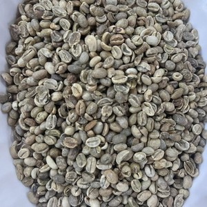 Granos de Café Verde Arábica Vietnamita Procesados con Miel, Tamaño 18, Granos de Café Crudos, Café Orgánico, Exportación a Granel, Proveedor de Café Premium - Product Image 1