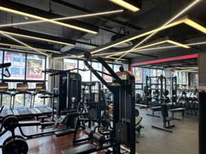 Bodydot BDF1000 Analizador Corporal Inteligente con IA, Marco de Aleación de Aluminio, No Plegable, Seguimiento de Postura Corporal Completa, 35x35x134cm KR - Product Image 3