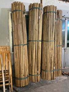 เสาไม้ไผ่แห้งธรรมชาติราคาถูกที่สุด สำหรับงานก่อสร้าง รั้วสวน การเกษตร โคมไฟสาน พัดตกแต่ง - Macy - Product Image 1