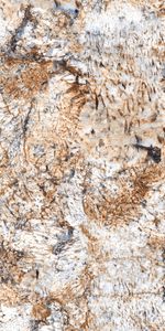 Azulejos de Cerámica de Granito de Alta Calidad 600x1200 con Textura Natural para Diseño y Desarrollo de Propiedades Comerciales - Product Image 4