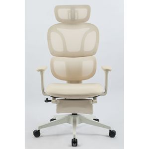 Sedia da Ufficio Ergonomica con Schienale Alto, Supporto Lombare Dinamico, Poggiatesta 2D, Braccioli 2D e Poggiapiedi - Product Image 2
