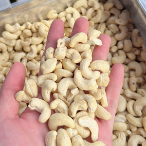 Offre Spéciale : Noix de cajou SANTIGO en vrac, faible MOQ - Product Image 1