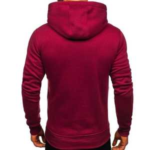 Sweat à capuche pour homme pour la gym, fabrication OEM, service de vente en gros, prix de gros, 100% coton - Product Image 2