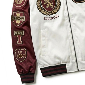 Chaqueta Varsity de Seda Satinada de Alta Calidad, Impermeable, Resistente al Viento, con Cuello Alto, Cierre Personalizado, Diseño de Moda para Hombre, para Invierno - Product Image 6