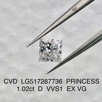 Laborgezüchteter Princess-Cut Diamant 1ct 2ct 3ct VVS VS Exzellente Farbe E IGI Zertifizierter Loser Diamant für Ringherstellung