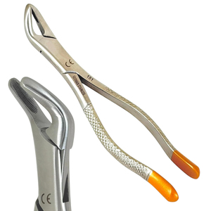 Forceps d'extraction dentaire allemands # Forceps d'extraction universels pour dents inférieures (bicuspide, incisif, racine) - Instruments dentaires - Product Image 5