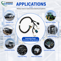 Harnais de câblage automobile complet sur mesure OEM, connecteur mâle-femelle, assemblage de câbles d'alimentation