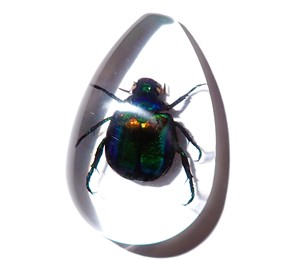 Cabochon en plastique de spécimen réel de scarabée coloré, taille poire, 46x30 mm, fond plat transparent, pour artisanat et fabrication de bijoux - Product Image 2