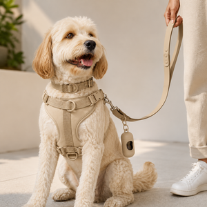 <span class=keywords><strong>Correas</strong></span> de Pecho <span class=keywords><strong>para</strong></span> Mascotas Transpirables <span class=keywords><strong>y</strong></span> Ecológicas con Logotipo Personalizado 2026, Diseños Nuevos de Alta Gama al por Mayor Mascotas - Product Image 4