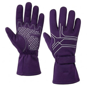 Guantes Ligeros para Automovilismo con Construcción Resistente, Cierre Cómodo en la Muñeca y Excelente Control para Eventos en Pista - Product Image 1