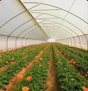 Cradle of Life Silpaulin, Rollos de Lámina de LDPE de Doble Capa para Invernaderos Agrícolas Multi-Span, para Protección de Cultivos - Product Image 4