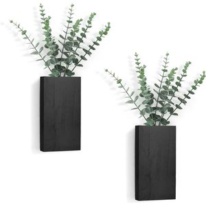 Set di 2 Vasi da Parete in Legno, Decorazione Rustica per Interni, Piante Artificiali di Eucalipto, Mensole Espositive da Parete - Product Image 1