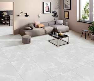 Modern Phoenix Bianco Porcelain <b>Floor</b> Wall Tiles <b>Matte</b> Finish Acid Resistant Interior 8.5mm Thick 1 Year Warranty Villa Hospital - Product Image 1