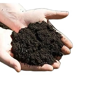 Poudre de fumier de vache écologique fabriquée en Inde pour les plantations de dattes à haut rendement dans les sols du Koweït à faible MOQ - Product Image 1