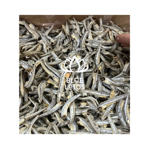 Anchois fumés séchés de qualité supérieure pour rehausser les notes savoureuses et apporter des nutriments essentiels à chaque cuisine - Product Image 1
