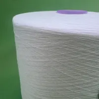 Fil à Coudre Brillant 100% Polyester Filé Ne 20/2 20/3 40/2 40/3 42/2 Haute Ténacité pour la Production de Fils à Broderie et de Fils à Coudre