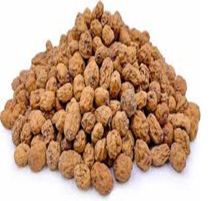 Nueces de tigre de nueva cosecha directamente de Tailandia - Product Image 5