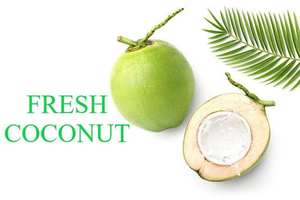 Noix de coco verte fraîche du Vietnam 2026, noix de coco naturelle pour boisson, meilleur prix - Product Image 3