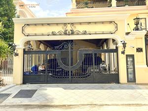 Puerta de Patio Moderna Personalizada, Puerta Batiente de Hierro Forjado Contemporánea para Exteriores, Villas, Garantía de 3 Años, Recubrimiento en Polvo Duradero - Product Image 6