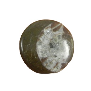 Gema Natural de amonita marrón para hacer joyería, cabujones redondos de 22mm, 4,45 gms, Gema suelta hecha a mano - Product Image 1