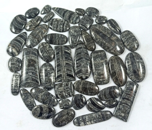 Wholesale Natural Polished High Quality Natural Orthoceras Fossil Crystal Black Loose Smooth Black Oval Shape Cabochons - Product Image 6