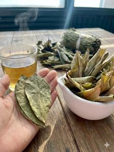 Hojas de guanábana secas de alta calidad - Product Image 4