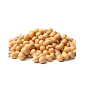 Soja Disponible a Precio de Mayoreo para Distribuidores de Alimentos y Exportadores Globales - Product Image 2