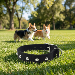 Colliers pour chiens en gros, modernes, solides, écologiques, avec rivets décoratifs, en sangle de nylon double couche, pour activités de plein air TW - Product Image 3