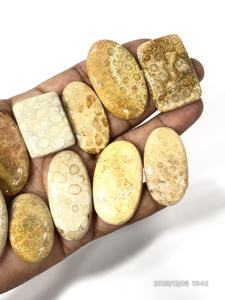 Coral Amarillo Natural, Gema Suelta, Cabujón, Formas y Tamaños Variados, 20 a 30 mm Aprox. - Product Image 2