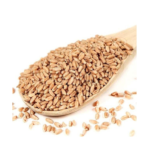 Blé dur de qualité supérieure en gros, qualité alimentaire, vente en vrac, prêt à expédier, qualité supérieure pour l'exportation - Product Image 2